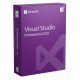 Microsoft Visual Studio 2022 Professional