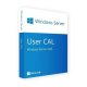 Windows Server 2016 User CAL (10)